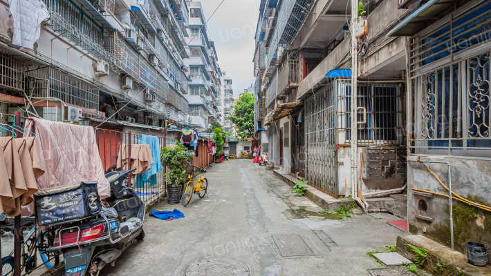 雪山路77号庭院外景图