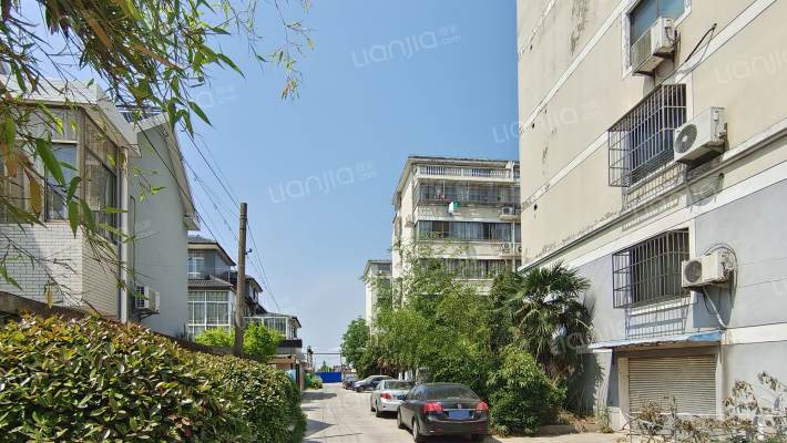 龙珠花苑外景图