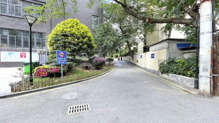 观水国际外景图