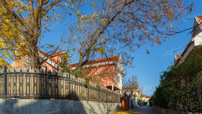 盛通绿色家园外景图