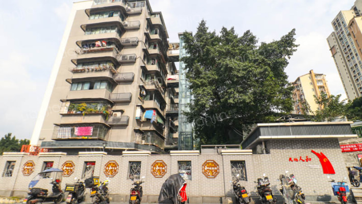 老政府家属院外景图