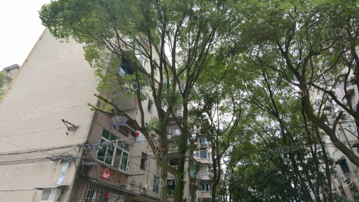 丽臣小区外景图