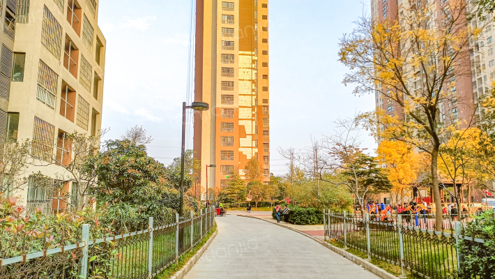 瑞锦小区竹林苑外景图