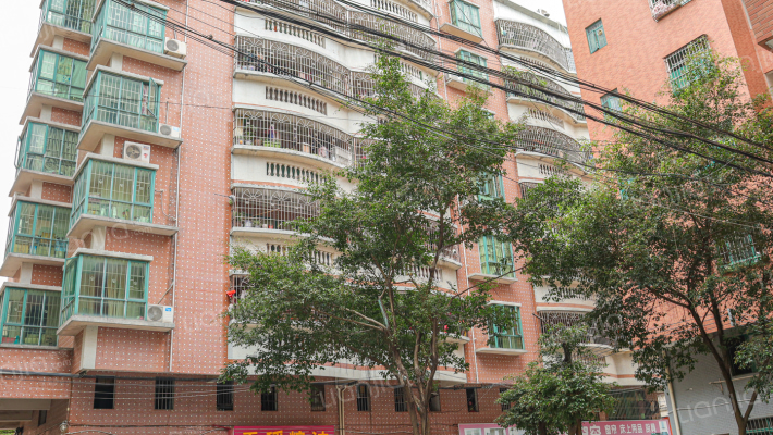 泰安花园外景图