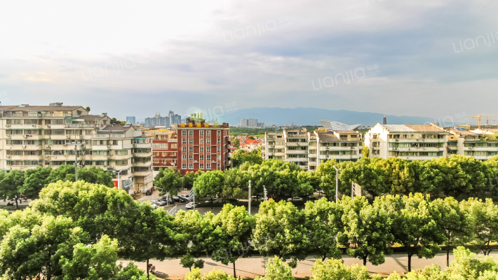 紫东星座外景图