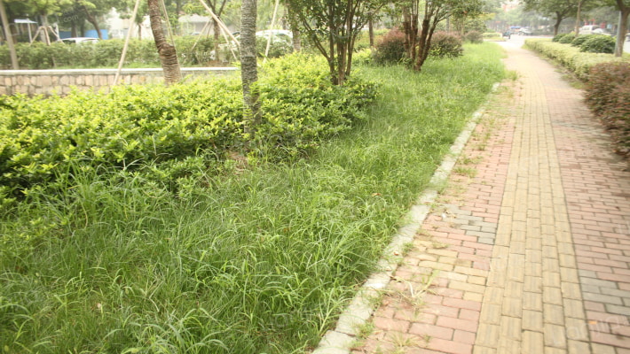 东冠公寓外景图