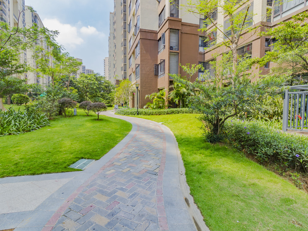 光明花半里相册