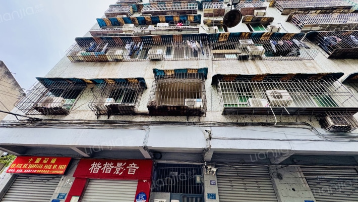 红育坡93、95号外景图