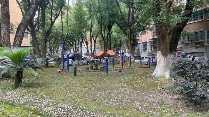 涉外花园外景图