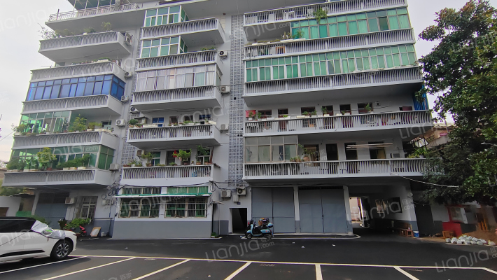 体育路黄泥畈烟草宿舍外景图