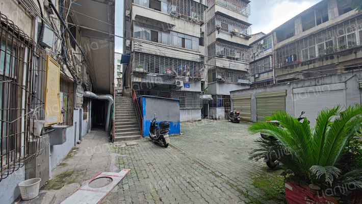 文星大道43号外景图