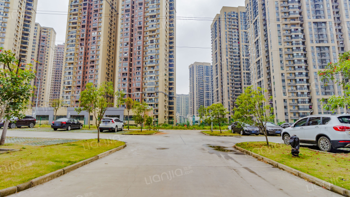 文华教师小区外景图