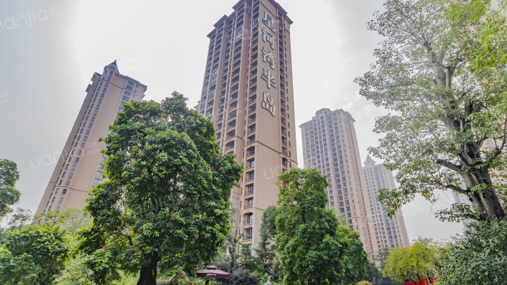 星河湾半岛三号园外景图