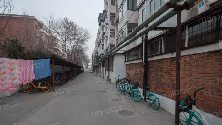 水上公园路53号外景图