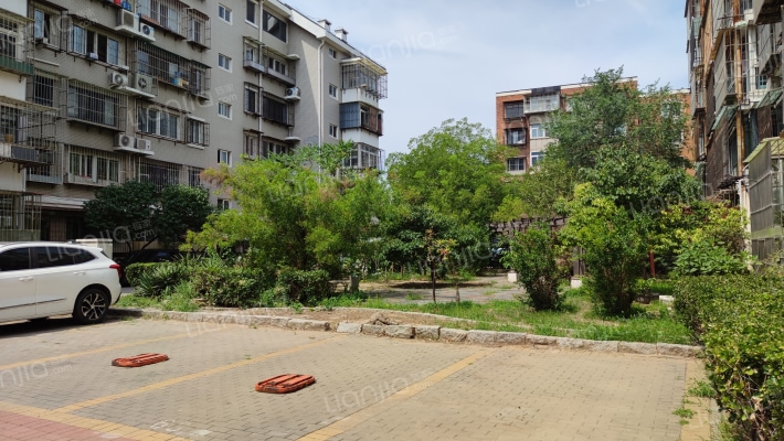 恋日花园外景图