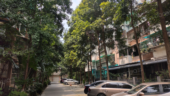 愿景美丽洲外景图