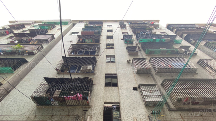 跃华路475号外景图