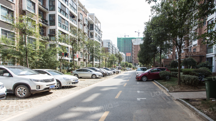 阳光在线一期外景图