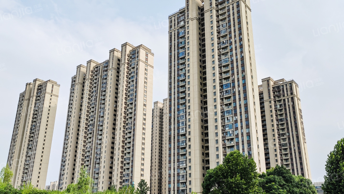 中粮光谷祥云C区外景图