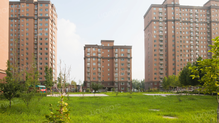 东城国际外景图