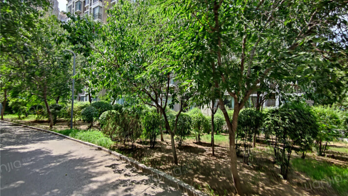 莱茵河畔外景图