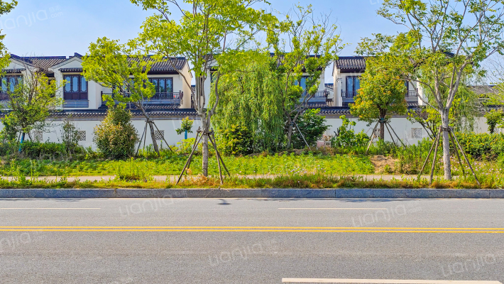 蓝城风荷九里外景图