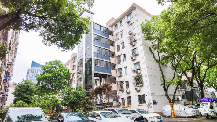 留芳声巷外景图