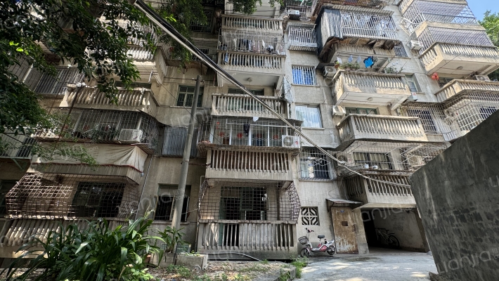 信平路9号外景图