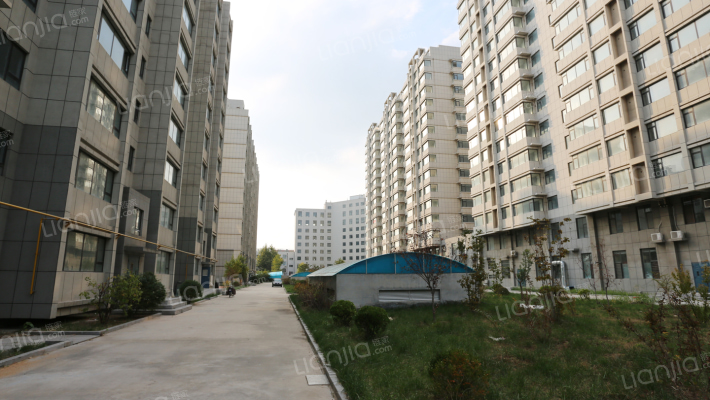 金色龙泉外景图