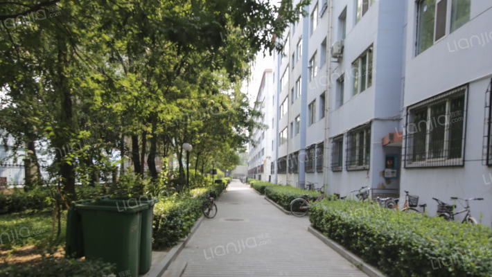 引黄小区外景图