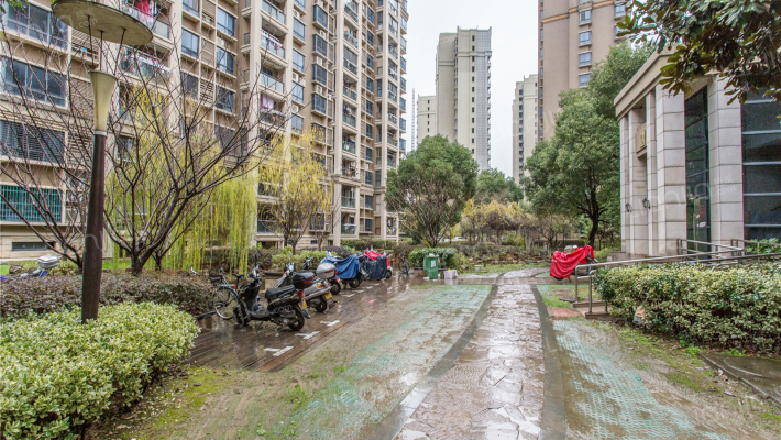 雨润香水百合外景图