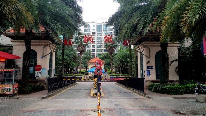 棕榈假日外景图