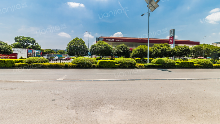 彰泰花千树外景图