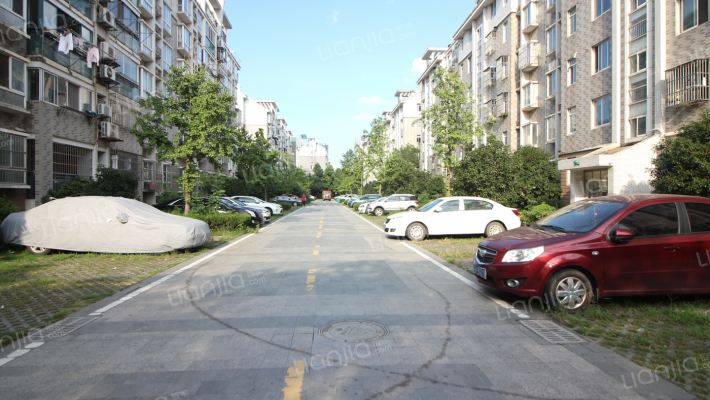 武夷绿洲观竹苑外景图