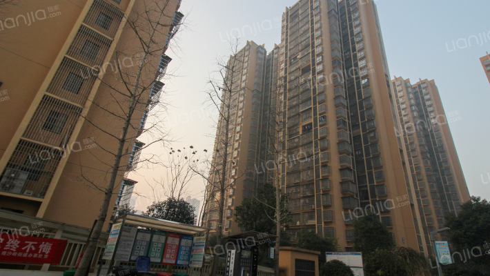 观沙嘉园外景图