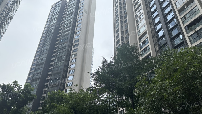 两江国际外景图