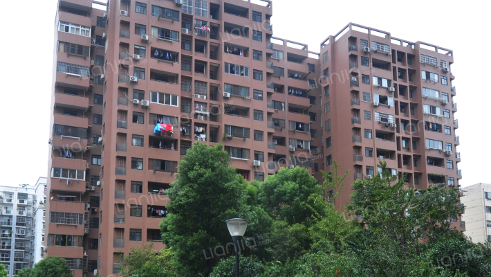 中环星干线外景图