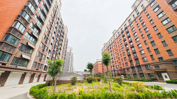 龙山花苑小区外景图