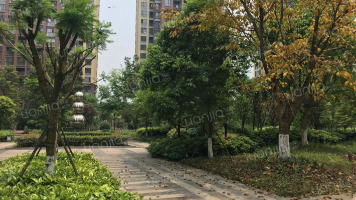 芙蓉田园外景图