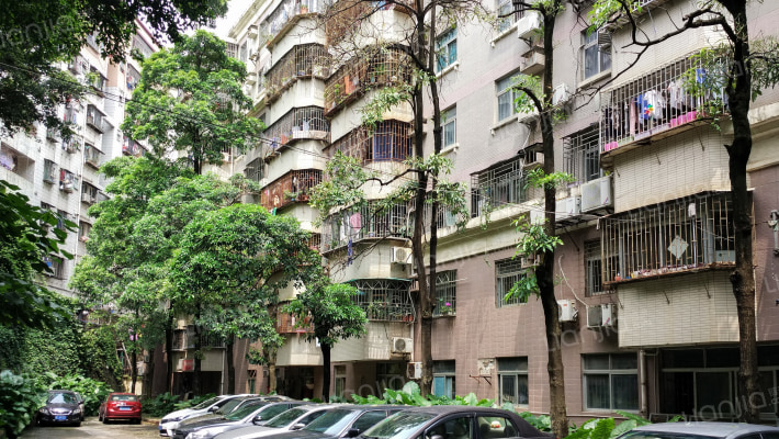 景梅新村外景图