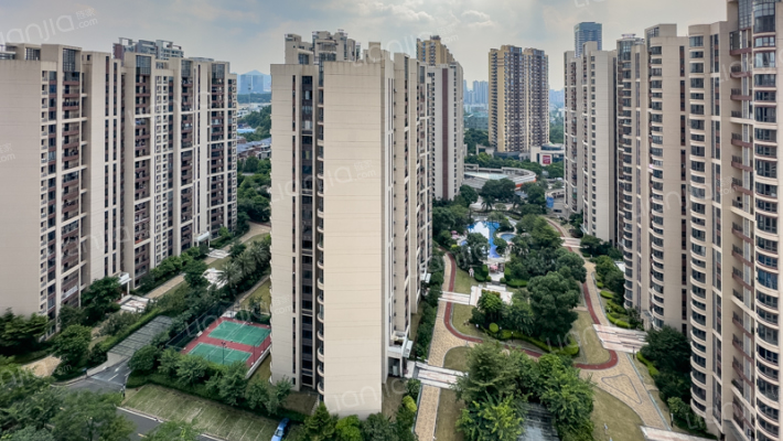 广联博爵外景图