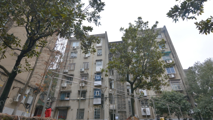 天马西村外景图