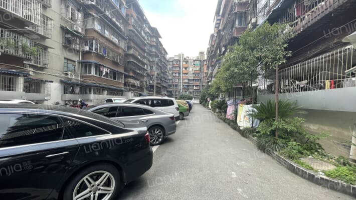 营通街181号外景图