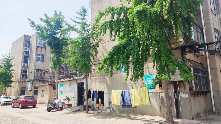 省果树所三宿舍外景图