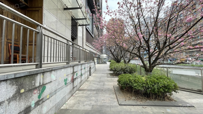 市西路大商城外景图