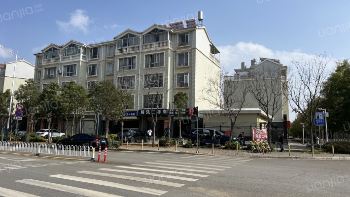 杨家河自建房外景图