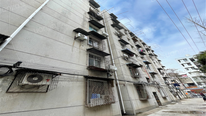 鹦鹉大道496号外景图