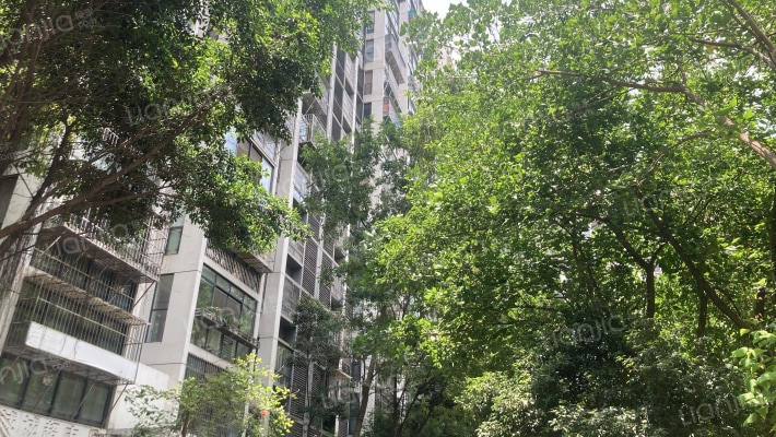 水乡茗居西区外景图