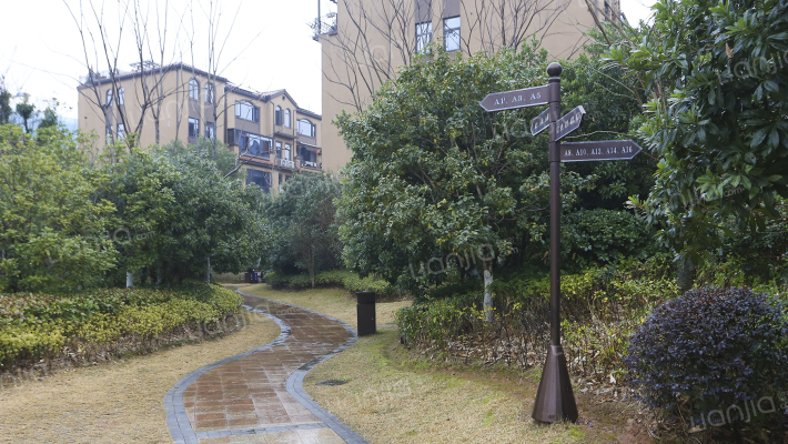 江河中央洋房外景图