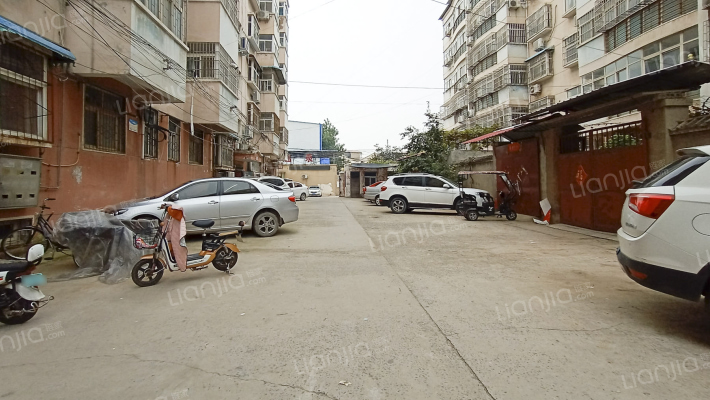 民主百花外景图